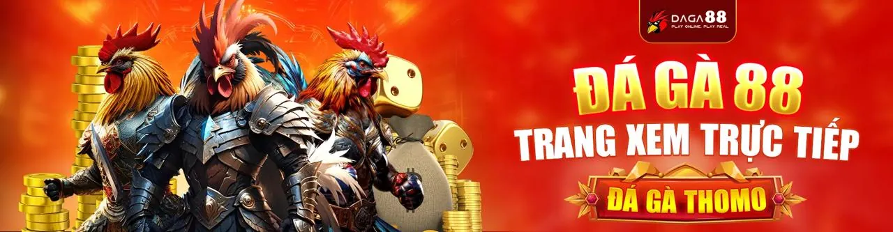 Sân đấu đá gà kịch tính tại MV66 Trang Chủ